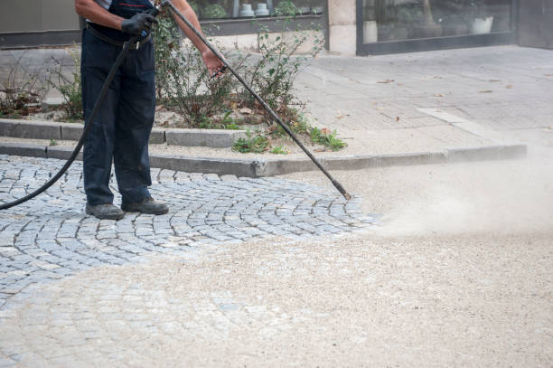 Best Driveway Pressure Washing  in Vienna, IL